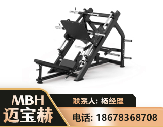 锦州45°倒蹬训练器